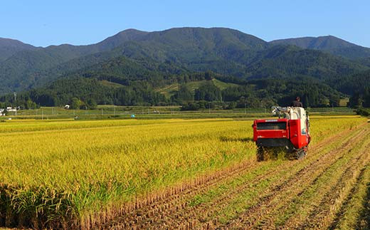 令和7年産 漢方栽培 低温熟成乾燥 十四代目のはえぬき（精米）3kg 米 お米 おこめ 山形県 新庄市  F3S-2407