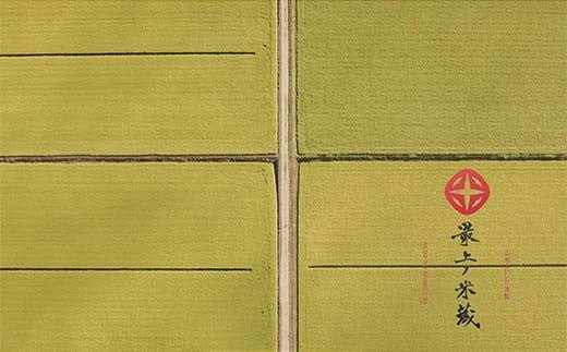 令和7年産 つや姫 5kg×2 計10kg 精米 【最上ノ米蔵】 山形県産 特別栽培米 こめ お米 米 白米  F3S-2684