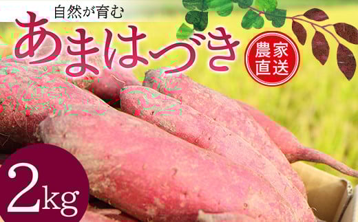 <2026年秋収穫分 先行予約> 自然が育む『あまはづき』2kg さつまいも サツマイモ 芋  F3S-2617