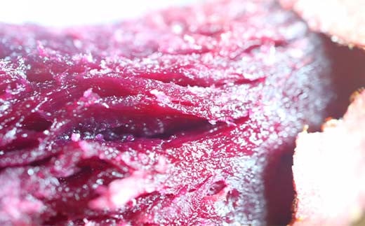 閾ェ辟カ譬ス蝓ケ 縺オ縺上繧峨&縺 1kg 繧オ繧、繧コ 螟ァ縲懷ー乗キキ蜷 縺輔▽縺セ縺繧 繧オ繝繝槭う繝「 闃 F3S-2637