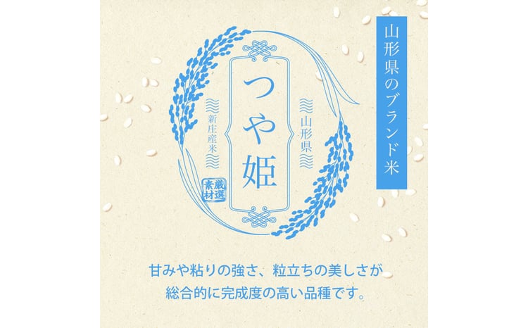 ＜定期便 6回＞ 令和7年産 つや姫 5kg×2 計10kg 精米 【最上ノ米蔵】 山形県産 こめ お米 米 白米  F3S-2566