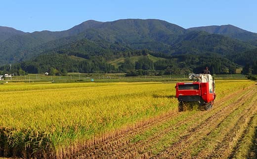 什å7å¹Žç£ æŒ¢æ¹æ œå¹ åå代ç®ã®ãµãµãã·ã 3kg ç±³ ãç±³ ããã å±±åœ¢ç æ°åºåž F3S-2405