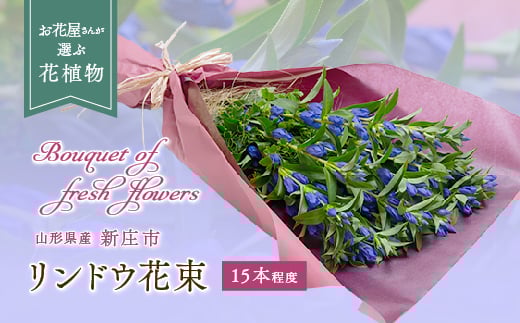 リンドウ（花束） 15本前後 りんどう 山形県 新庄市  F3S-0322