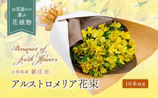 アルストロメリア（花束） 10本程度 山形県 新庄市  F3S-0321