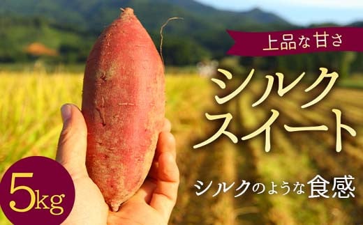 <2026年秋収穫分 先行予約> 上品な甘さの【シルクスイート】5kg （栽培期間中、農薬、化学肥料不使用） さつまいも サツマイモ 芋  F3S-2619