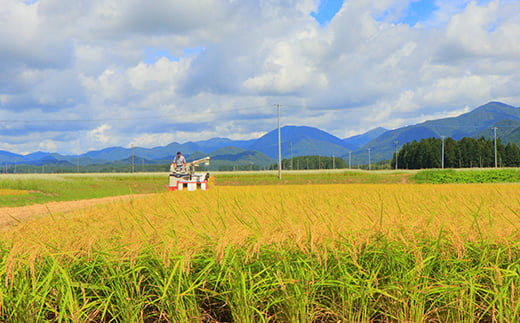 【令和7年産】米食味鑑定士厳選 新庄産 はえぬき 4kg 米 お米 おこめ 山形県 新庄市  F3S-0058