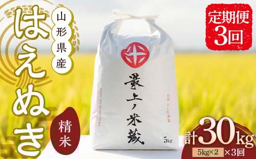令和7年産 ＜定期便 3回＞ 山形県産 はえぬき 精米 10kg （5kg×2）【最上ノ米蔵】  F3S-2488