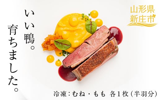 『満天☆青空レストランでご紹介!』もがみの地で育った最上級の鴨 最上鴨 半羽 約500g (むね・もも 各1枚) かも カモ 鴨 鴨肉 鴨鍋 鴨南蛮 鴨焼き ジビエ 山形県 新庄市  F3S-1411