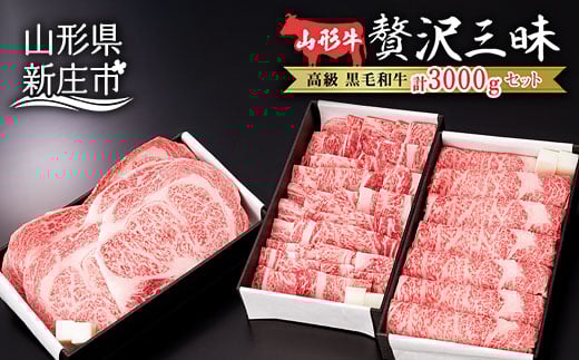 産地直送 山形牛 ロースステーキ・焼肉用・すき焼き用 セット 合計3000g（ステーキ200g×5、焼肉用1000g、すき焼き用1000g） にく 肉 お肉 牛肉 山形県 新庄市  F3S-0983