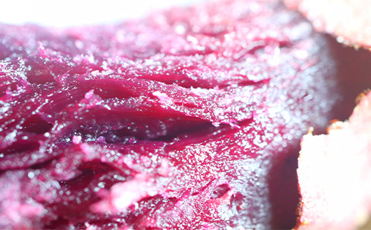 èªç¶æ œå¹ ãµããããã 2kg 倧ãå°æ··å ãã€ãŸãã ãµããã€ã¢ è F3S-2639