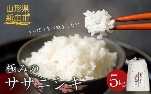 極みのササニシキ（精米） 5kg 米 お米 おこめ 山形県 新庄市  F3S-2431
