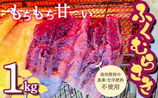 <2026年秋収穫分 先行予約> 栽培期間中、農薬・化学肥料不使用 もちもち甘〜い『ふくむらさき』1kg（3〜5本） さつまいも サツマイモ F3S-2616