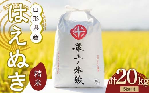 令和7年産 はえぬき 5kg×4 計20kg 精米 【最上ノ米蔵】 山形県産 こめ お米 米 白米 F3S-2701