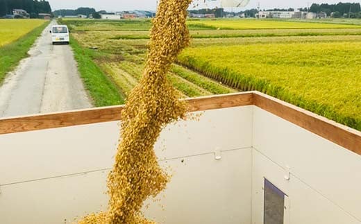 極みのササニシキ（精米） 5kg 米 お米 おこめ 山形県 新庄市  F3S-2431