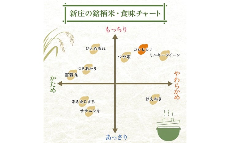 令和7年産 コシヒカリ 5kg×2 計10kg 精米 【最上ノ米蔵】 山形県産 こしひかり こめ 米 白米 F3S-2707