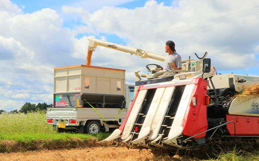 什å7å¹Žç£ æŒ¢æ¹æ œå¹ åå代ç®ã®ãµãµãã·ã 3kg ç±³ ãç±³ ããã å±±åœ¢ç æ°åºåž F3S-2405