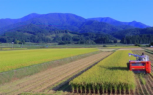 莉、蜥7蟷エ逕」邀ウ 鮟呈セ、縺ョ繧オ繧オ繝九す繧ュシ育イセ邀ウシ1kg 邀ウ 縺顔アウ 縺翫%繧 螻ア蠖「逵 譁ー蠎蟶 F3S-2375