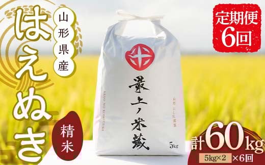 令和7年産 ＜定期便 6回＞ 山形県産 はえぬき 精米 10kg （5kg×2）【最上ノ米蔵】  F3S-2489