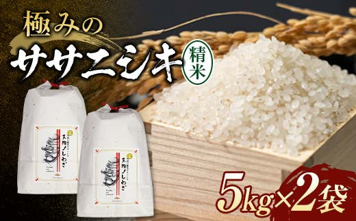 令和7年産 極みのササニシキ（精米） 10kg（5kg×2） 米 お米 おこめ 山形県 新庄市  F3S-2429