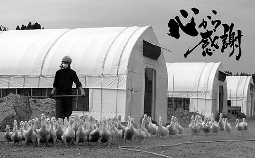 縲取コ螟ゥ笘髱堤ゥコ繝ャ繧ケ繝医Λ繝ウ縺ァ縺皮エケ莉!縲乗・オ荳翫ョ魘ィ繧呈焔霆ス縺ォ讌ス縺励 譛荳企エィ蛻繧雁コ縺苓i 邏1kg 縺九b 繧ォ繝「 魘ィ 魘ィ閧 魘ィ骰 魘ィ蜊苓岼 魘ィ辟シ縺 繧ク繝薙お 螻ア蠖「逵 譁ー蠎蟶 F3S-1409