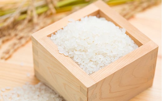 【令和7年産】米食味鑑定士厳選 新庄産 はえぬき 8kg（4kg×2袋） 米 お米 おこめ 山形県 新庄市  F3S-0309