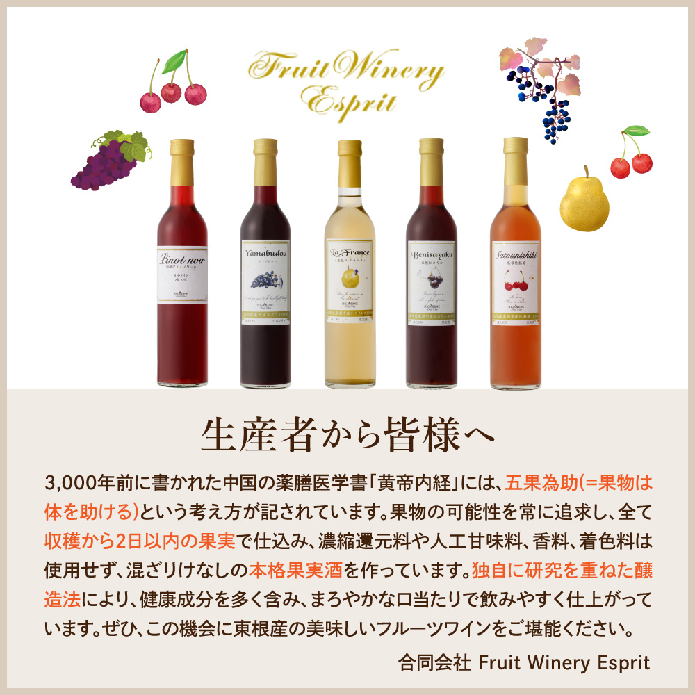メルローとピノ・ノワールの詰合せ 500ml×2本セット 山形県 東根市 合同会社 Fruit Winery Esprit提供 hi108-006