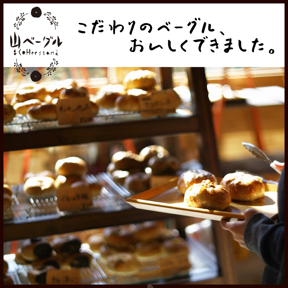 【隔月定期便】おすすめベーグル 9個セット×6回 詰め合わせ 山ベーグル＆CoffeeStand提供 山形県 東根市 hi086-007