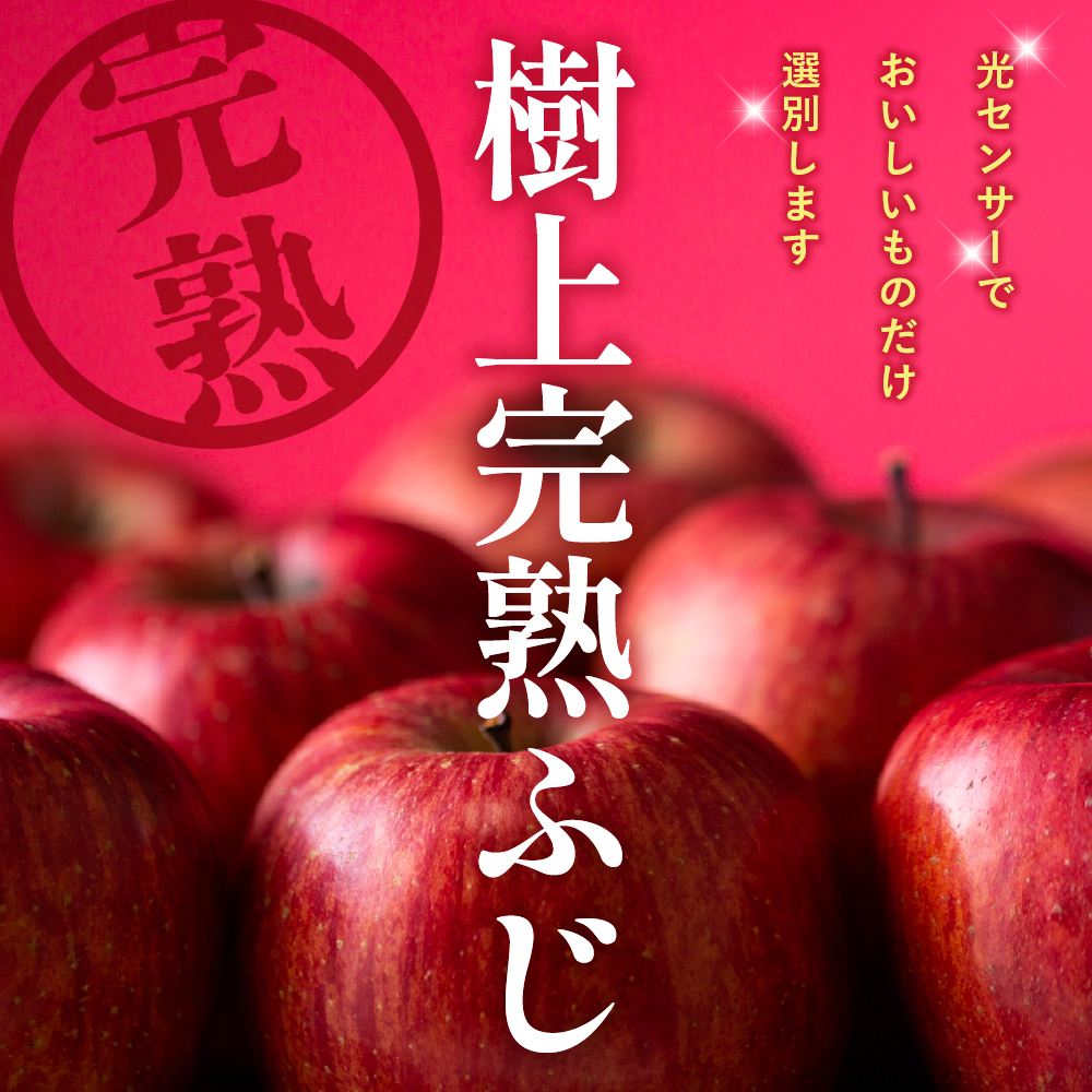 ã2026幎ç£ã æš¹äžå®çãµãããã ç§å 3kg åç²§ç®±ïŒ12åè©°ãïŒ å±±åœ¢ç æ±æ ¹åž JAæäŸ hi001-049