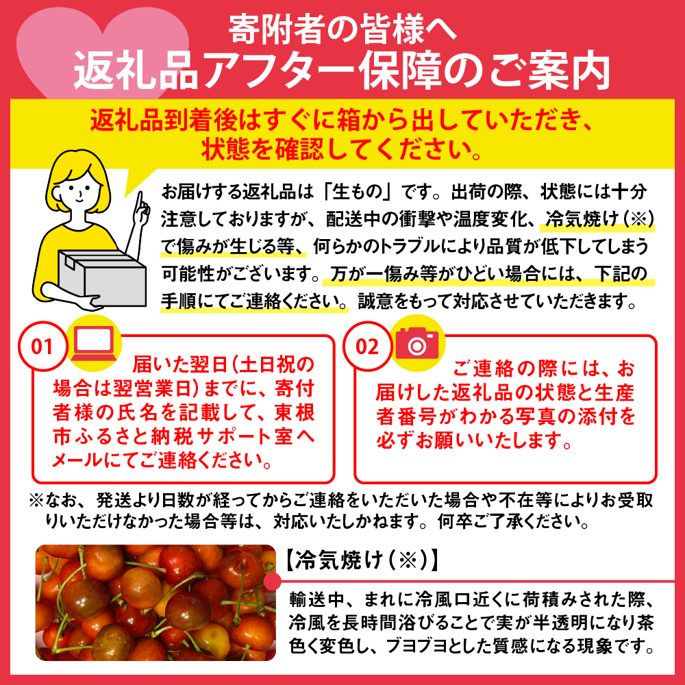 【2026年 3回定期便】山形農縁プレミアム3種B ～さくらんぼ紅秀峰から始まる～ 千笑花夢提供 山形県 東根市 hi082-065b