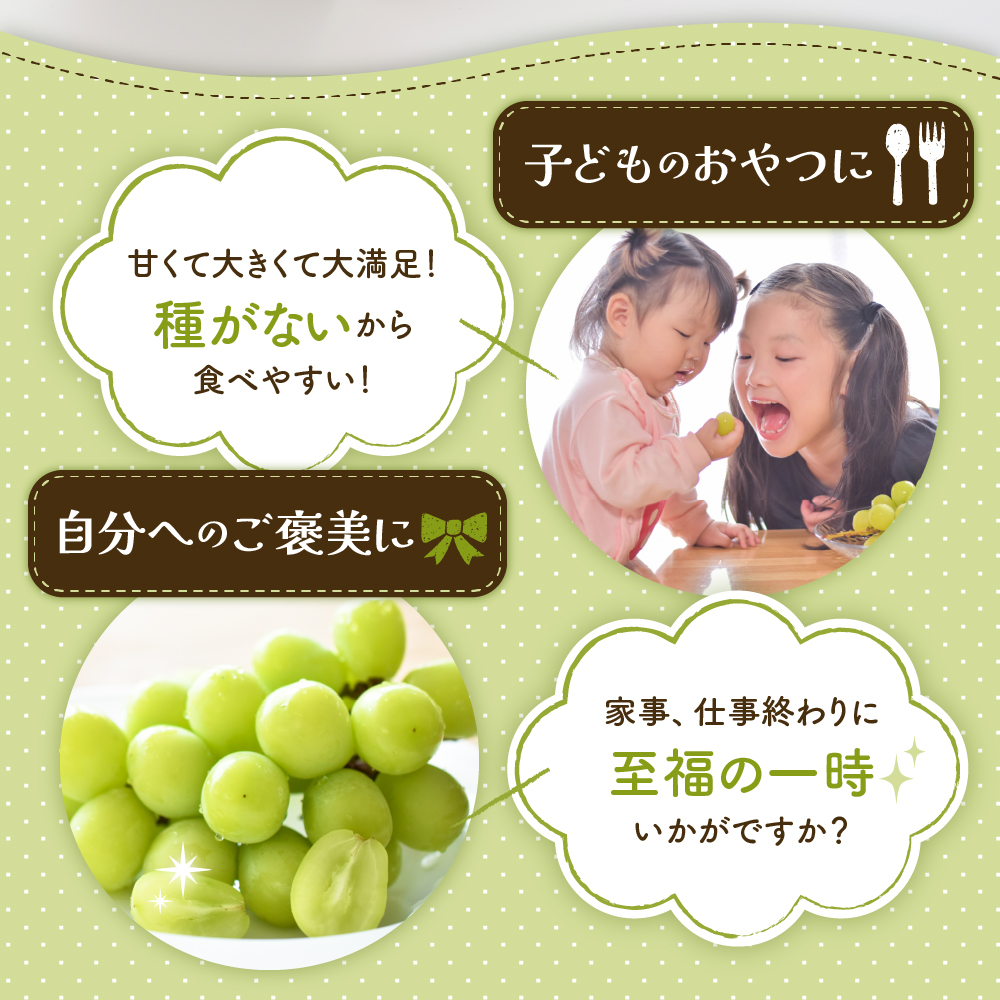 縲2026蟷エ 蜈郁。御コ育エ縲代カ縺ゥ縺縲後す繝」繧、繝ウ繝槭せ繧ォ繝繝医1謌ソ (邏700g) 螻ア蠖「逵 譚ア譬ケ蟶 hi003-152