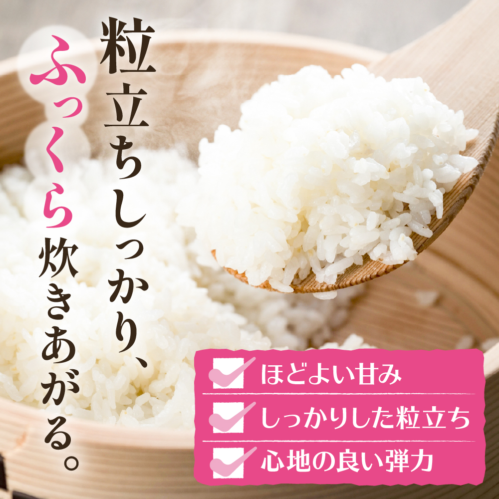 【令和6年産】はえぬき15kg (2025年3月後半送付)ジェイエー提供 山形県 東根市 hi002-027-033-2