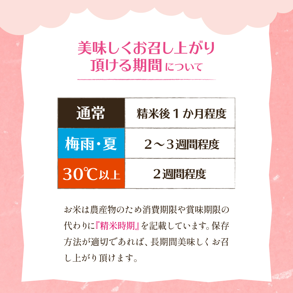 【令和6年産 先行予約】はえぬき15kg (2025年1月後半送付)JA提供 山形県 東根市　hi002-027-013