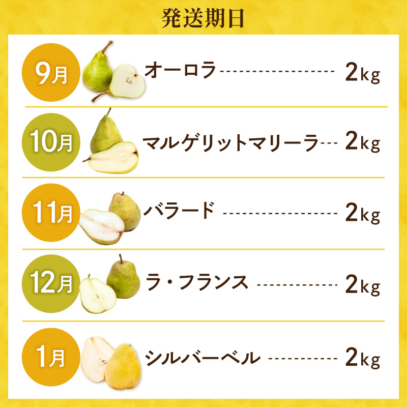 【2026年産 5回定期便】西洋梨食べ尽くし定期便 山形県 東根市 東根農産センター提供 hi027-201-r8