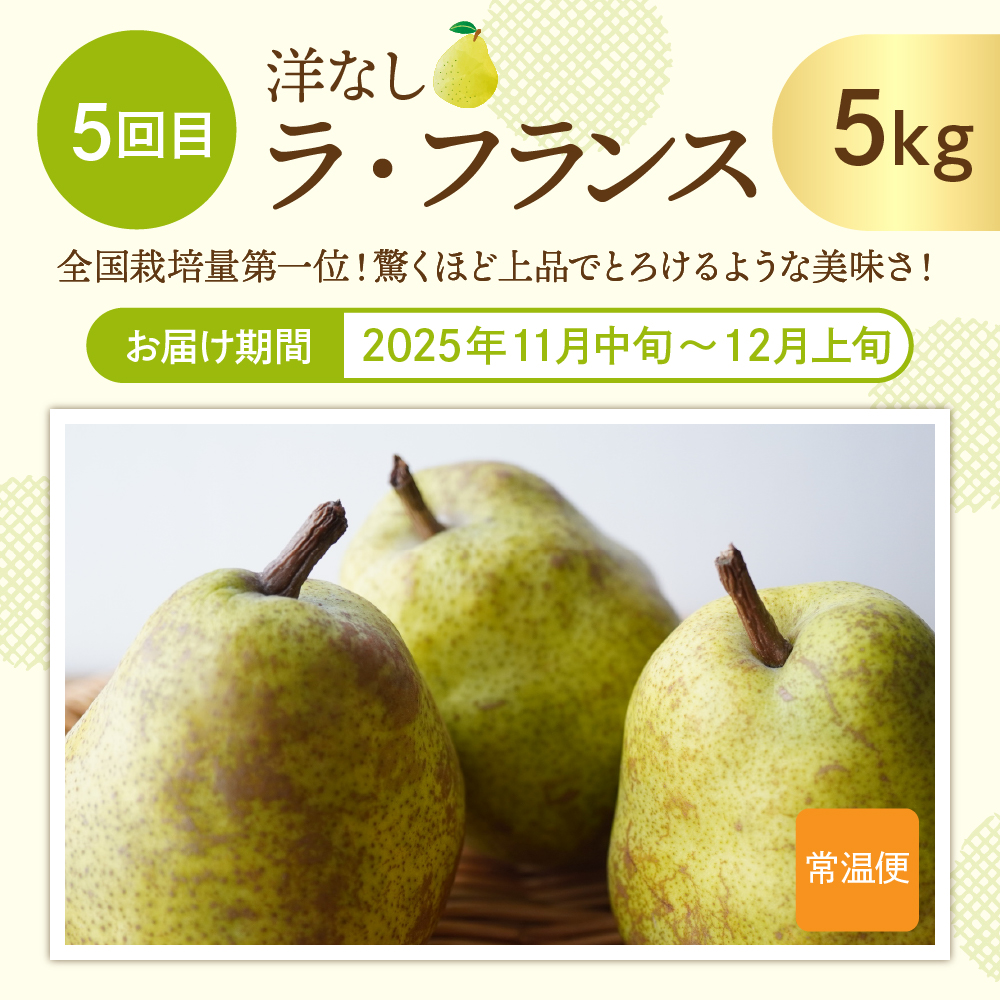 【2025年先行予約 6回 定期便】2025年 た〜んと フルーツ コース 山形県 東根市 さくらんぼ もも シャインマスカット ラ・フランス りんご hi999-031-2