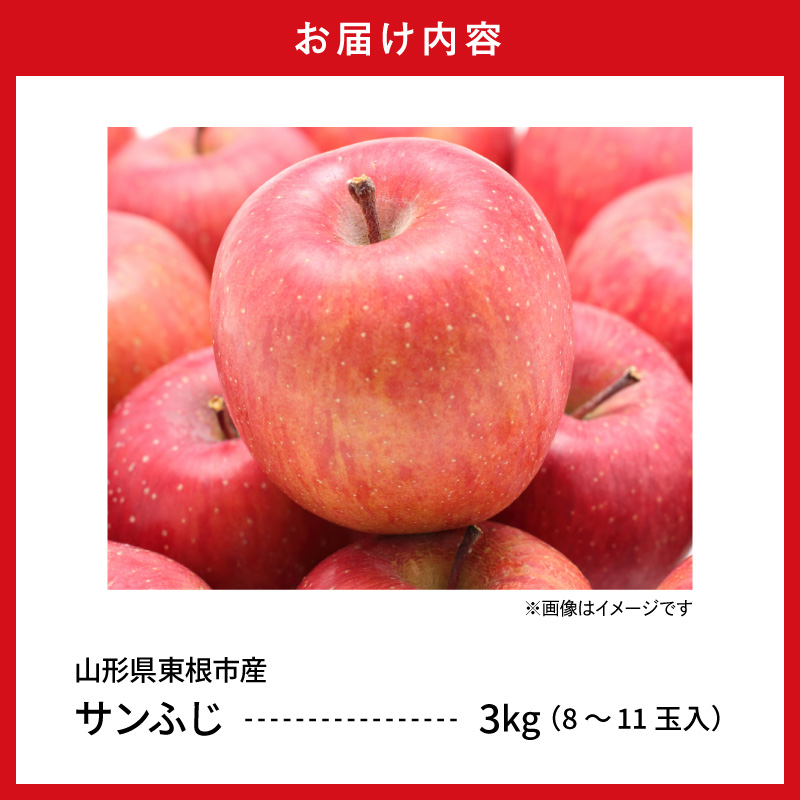 【2026年産】太陽の恵みをいっぱいに浴びたりんご「サンふじ」 約3kg (8～11玉入) 山形県 東根市　hi026-061