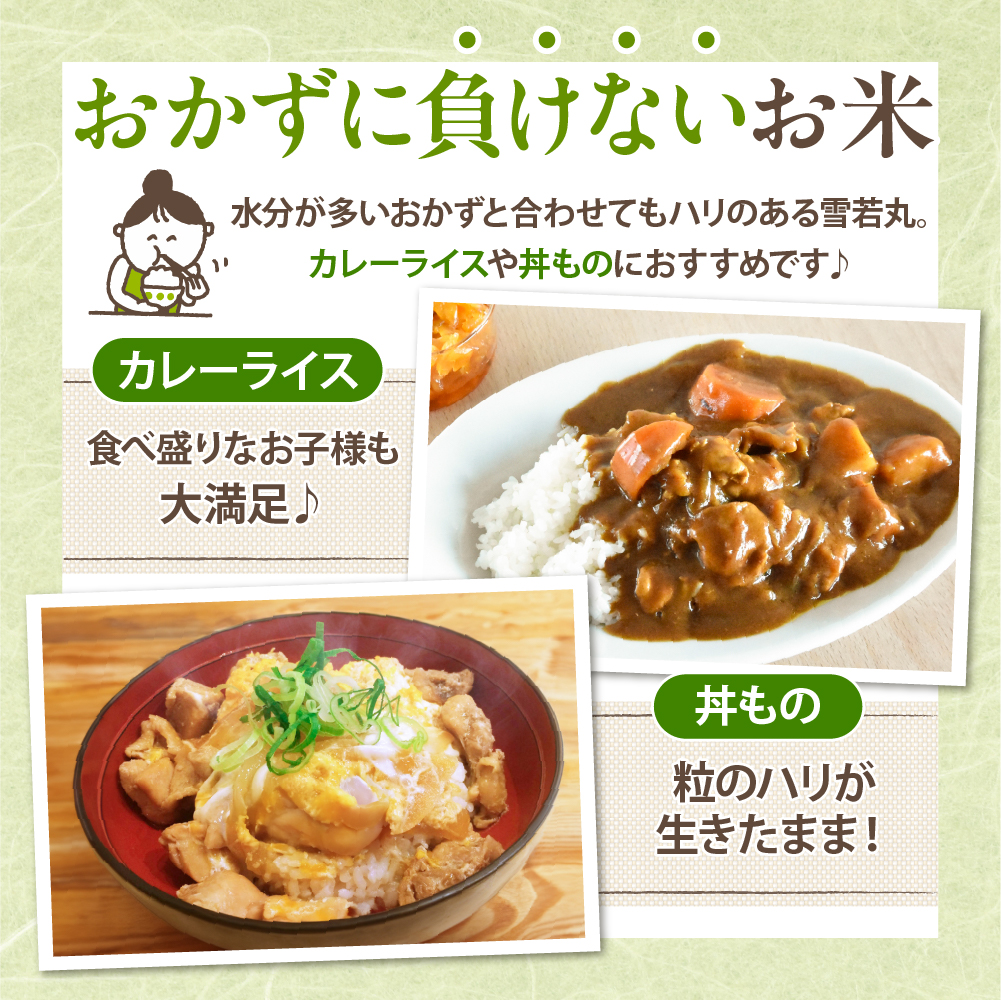 【令和6年産米】☆2025年5月後半発送☆ 雪若丸 5kg（5kg×1袋）山形県 東根市産　hi003-118-053-2