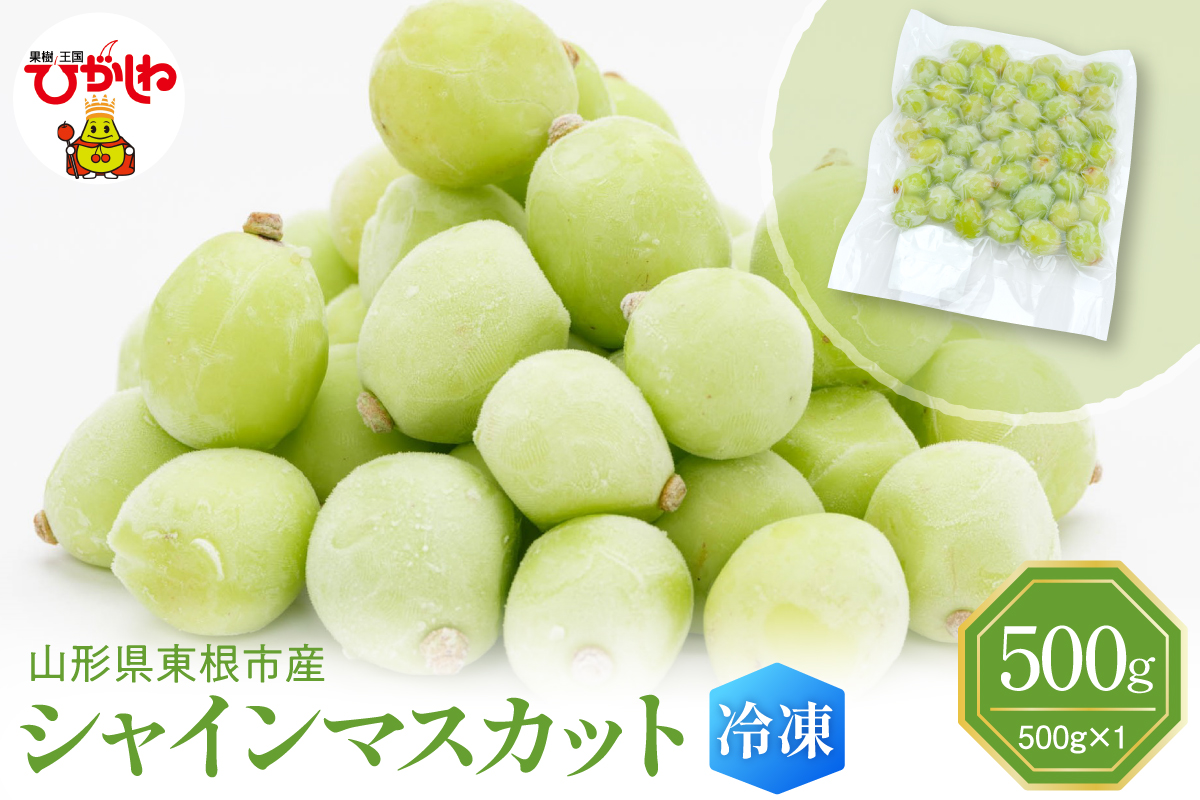 【瞬間冷凍】東根市産 シャインマスカット 大容量 500g 東根農産センター提供 hi027-246