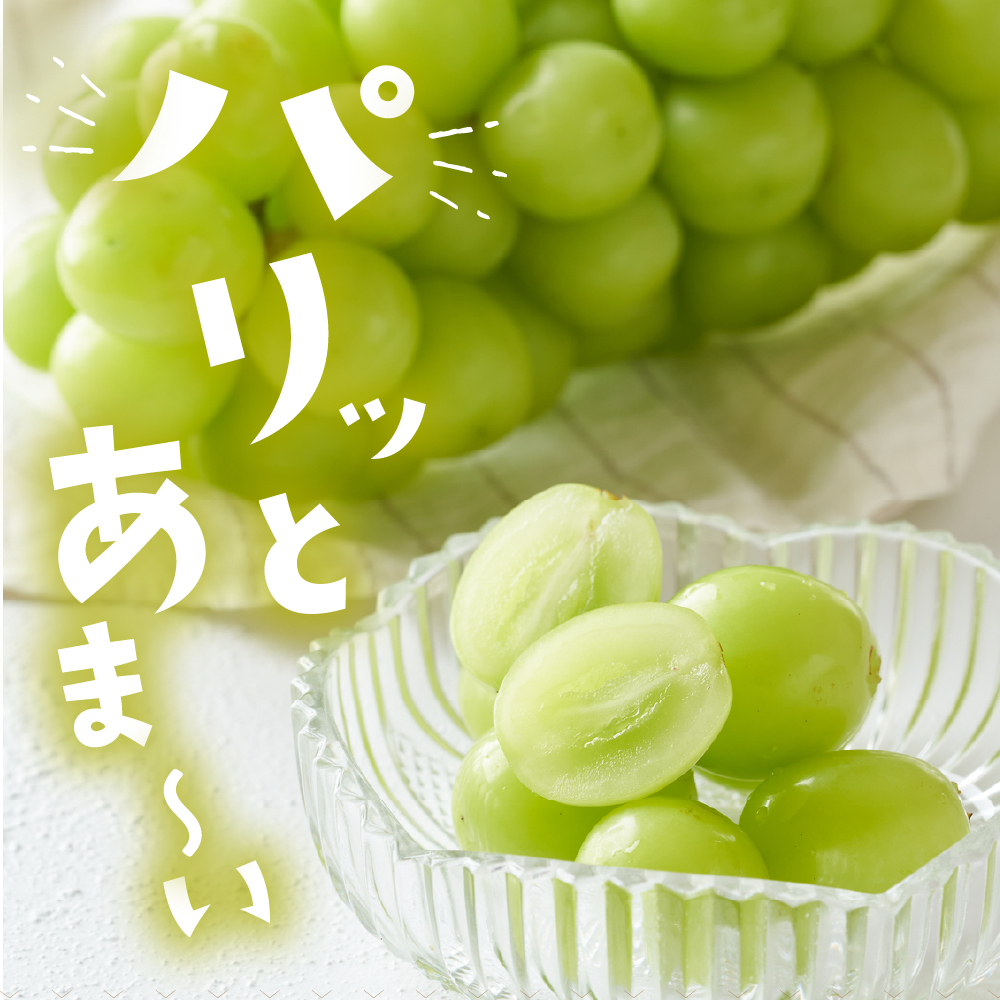 2025年ぶどう「シャインマスカット」1房(約600g) 東根農産センター提供 山形県 東根市 hi027-180-2