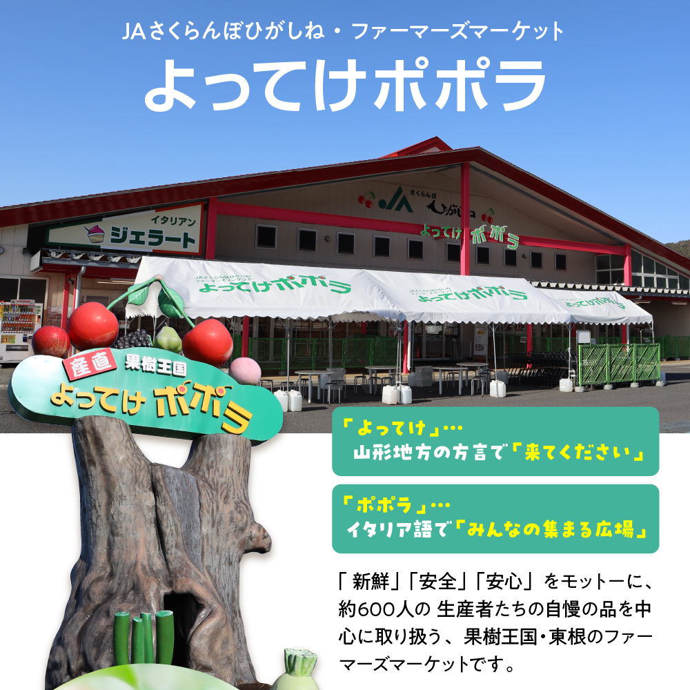 【2025年産 先行予約】 2025年もも「川中島白桃」5kg JA提供 山形県 東根市 hi003-126-2