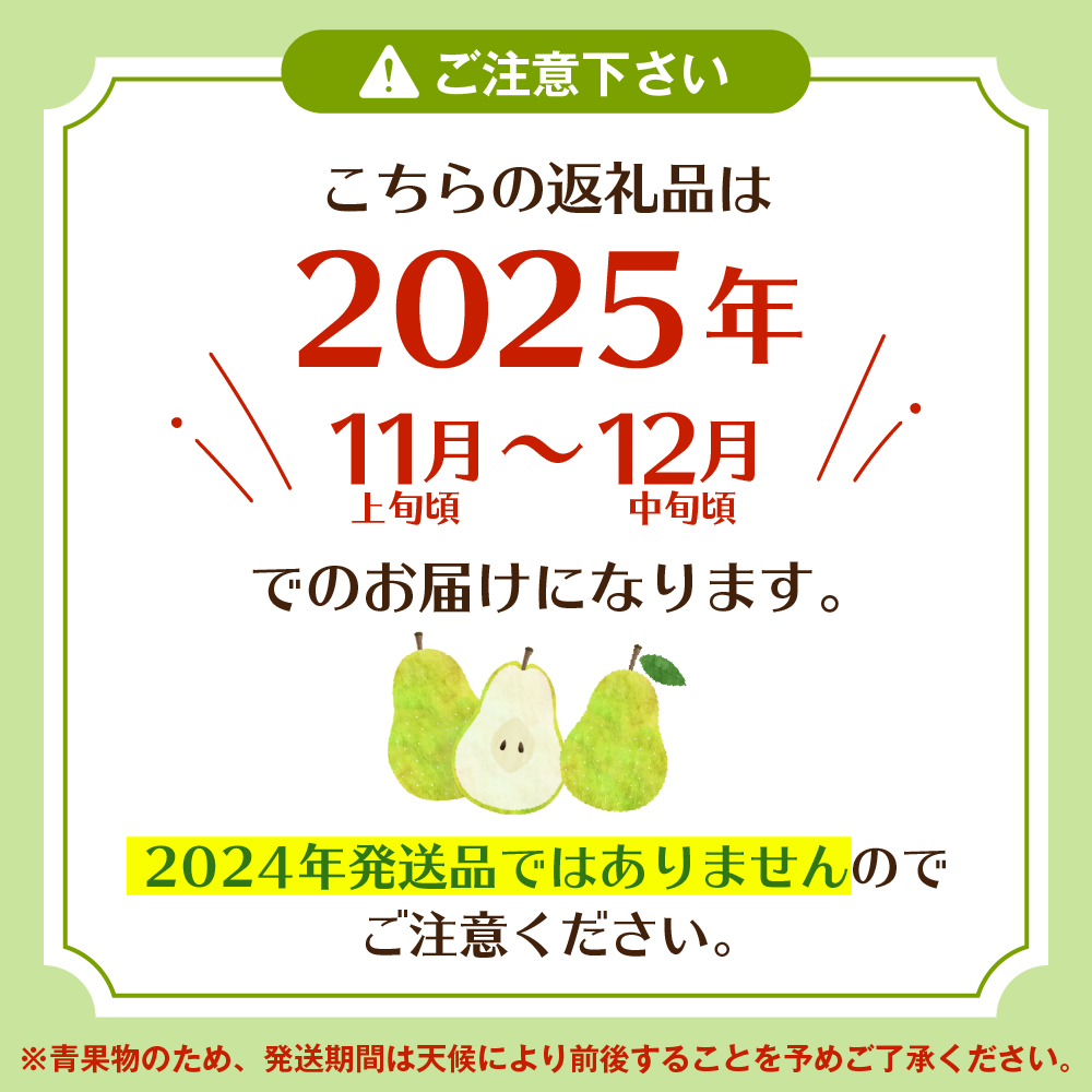 2025年産洋なし「【横綱】ラ・フランス」3kg 糖度14度以上 光センサー選別 JA提供 山形県 東根市 hi003-135-2