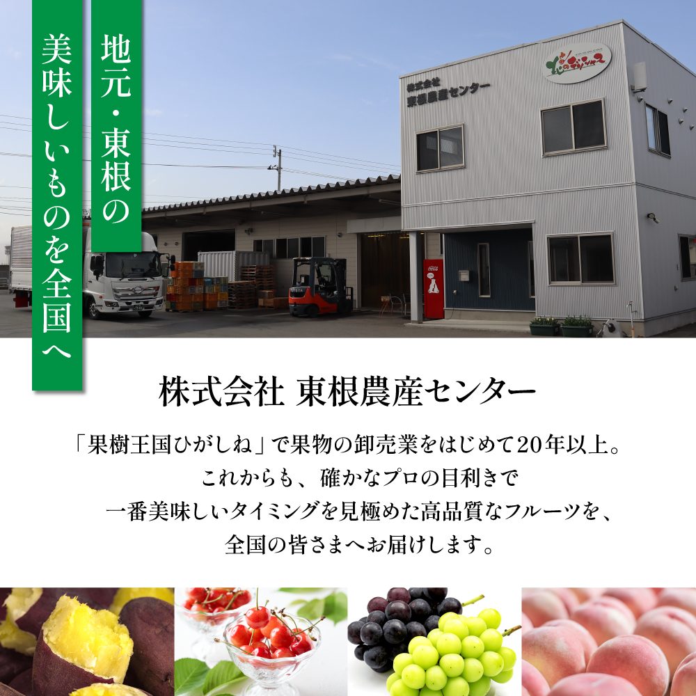2026年 GI東根さくらんぼ「紅秀峰」700gバラ詰め(350g×2ﾊﾟｯｸ) 秀品 2Lサイズ 東根農産センター提供 山形県 東根市 hi027-226