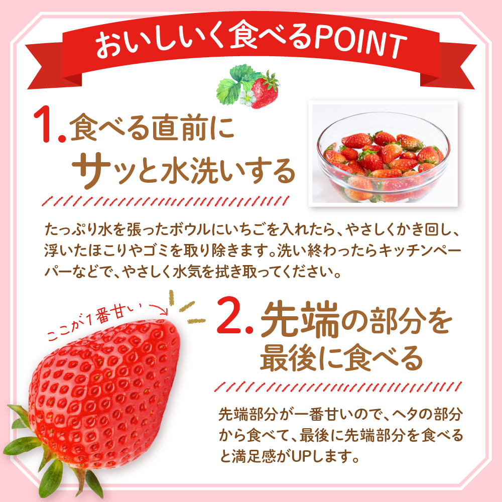 【令和7年産　先行予約】神町いちご（とちおとめ）12粒〜15粒 山形県 東根市　hi069-007-2