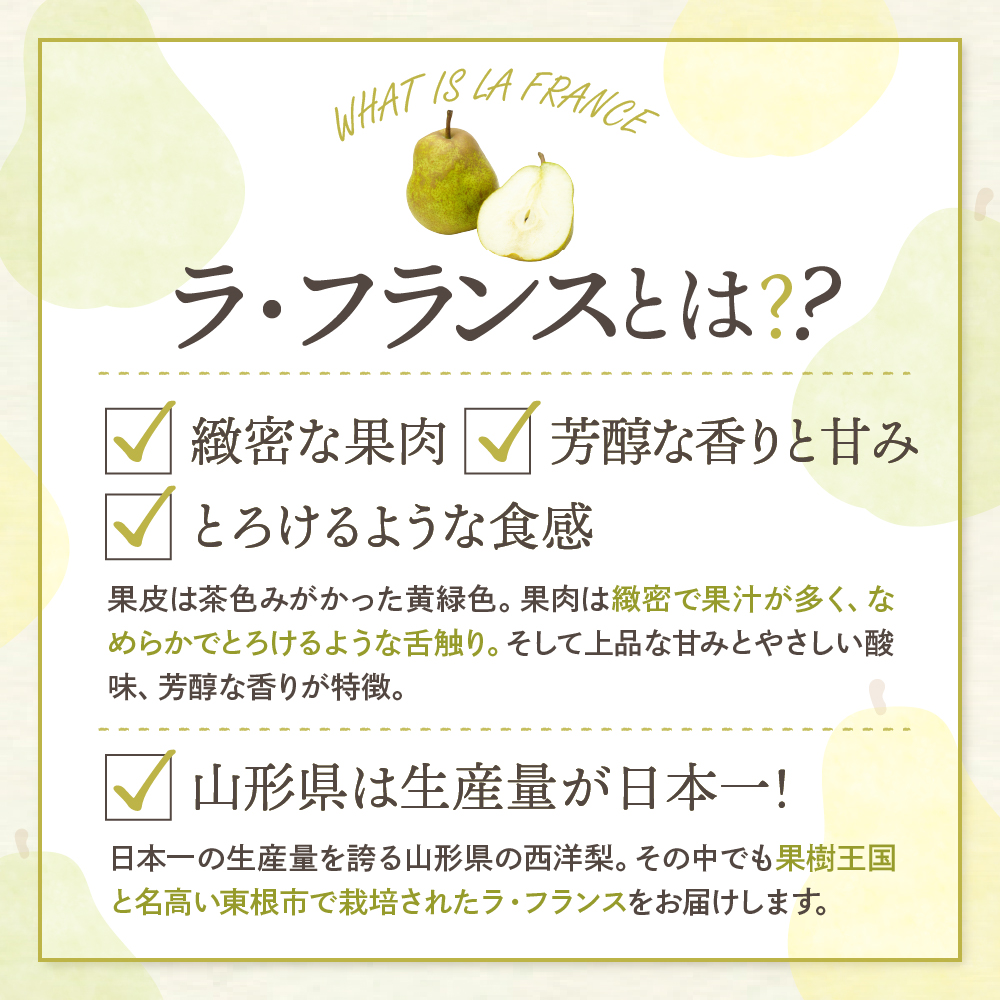 【令和6年産 先行予約】西洋梨ラフランス３ｋｇ　秀品　化粧箱入り 山形県 東根市 東根農産センター提供 hi027-142