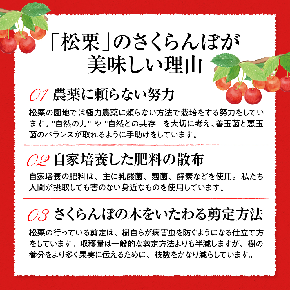 【2025年産　先行予約】真の桜桃 佐藤錦 超特秀 500g 山形県 東根市　hi004-hi062-033-1