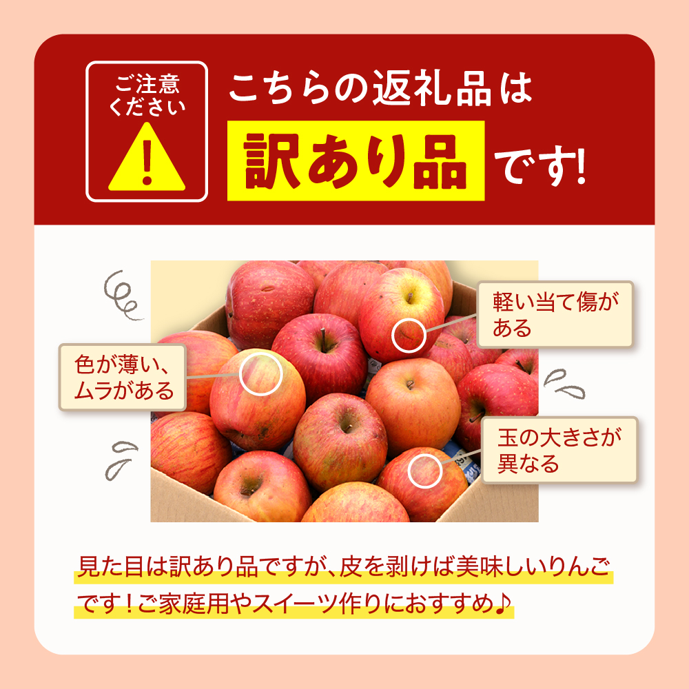 【令和6年産 先行予約】※訳あり※ サンふじ満杯詰(約9.5kg) 東根市 山形県 東根農産センター提供 hi027-131