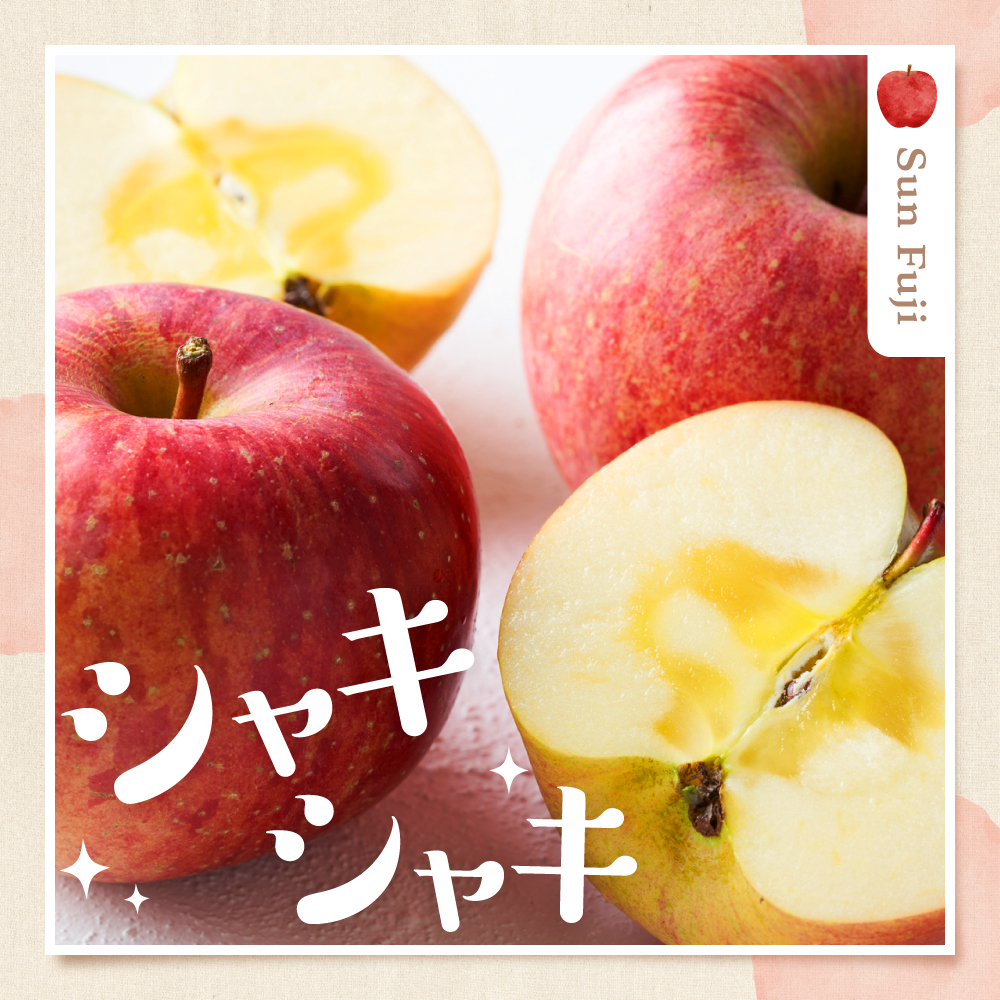 【2026年産】サンふじ&ラフランス 詰め合わせ 3kg 秀品 化粧箱入り 山形県 東根市 東根農産センター提供 hi027-210-r8