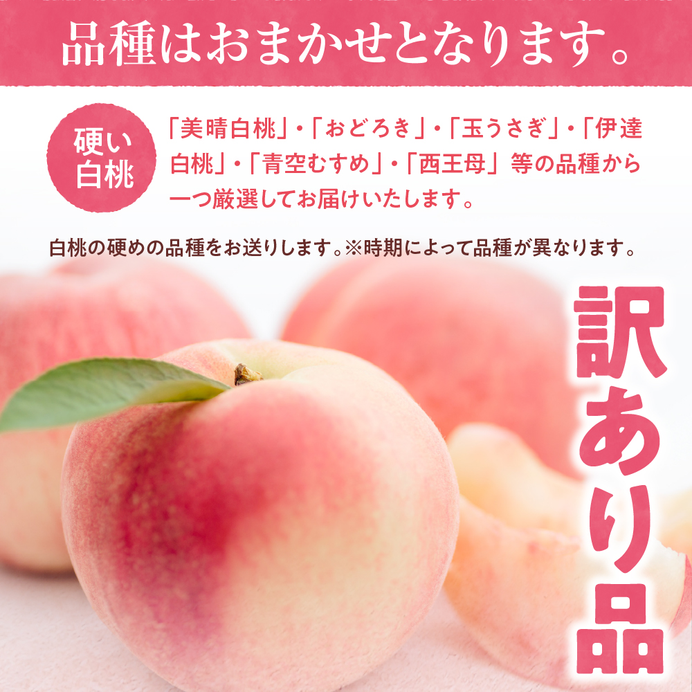 【2024年産　先行予約】白桃 品種おまかせ 訳あり2kg(硬め)　hi004-hi062-011