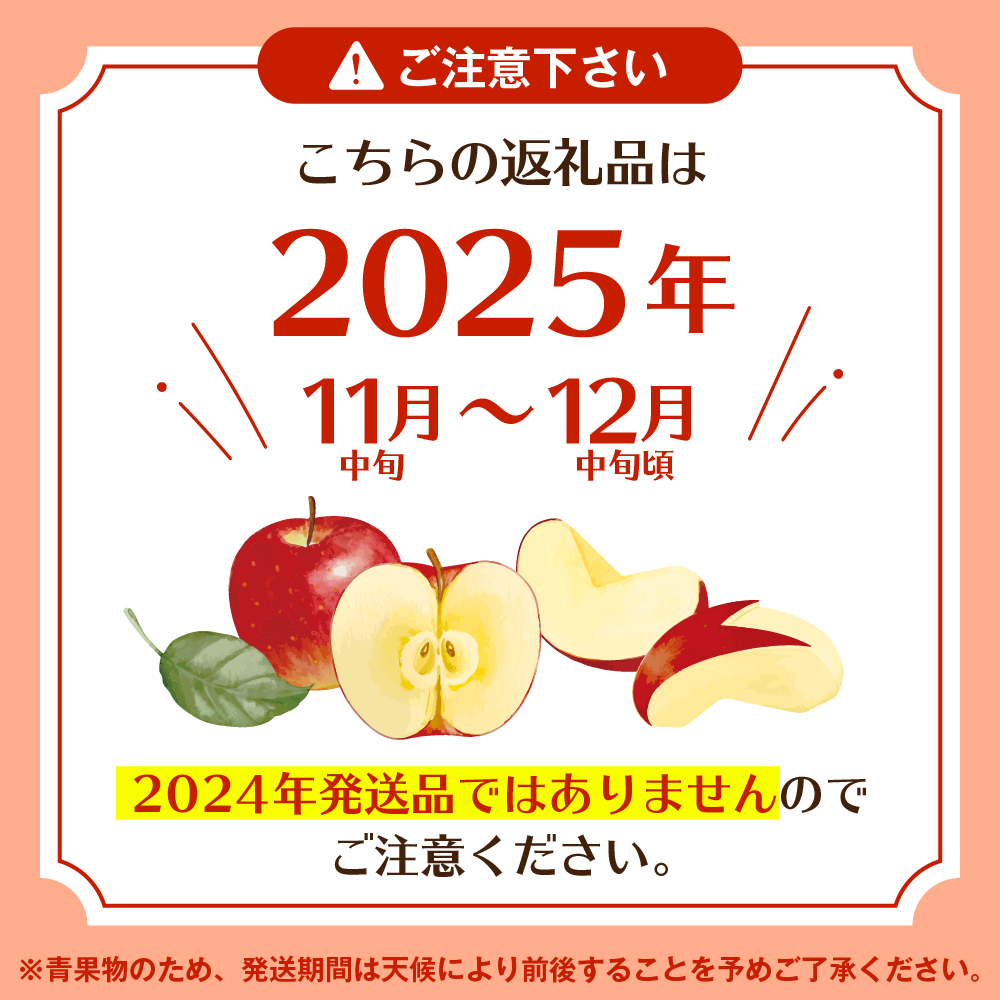 【2025年産 先行予約】 りんご「【横綱】サンふじ」5kg JA提供 山形県 東根市 hi003-140-2