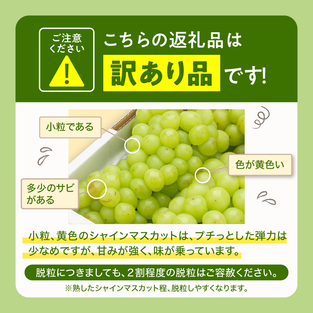 2025年ぶどう「訳ありシャインマスカット」2kg（3〜5房）東根農産センター提供 山形県 東根市 hi027-182-2