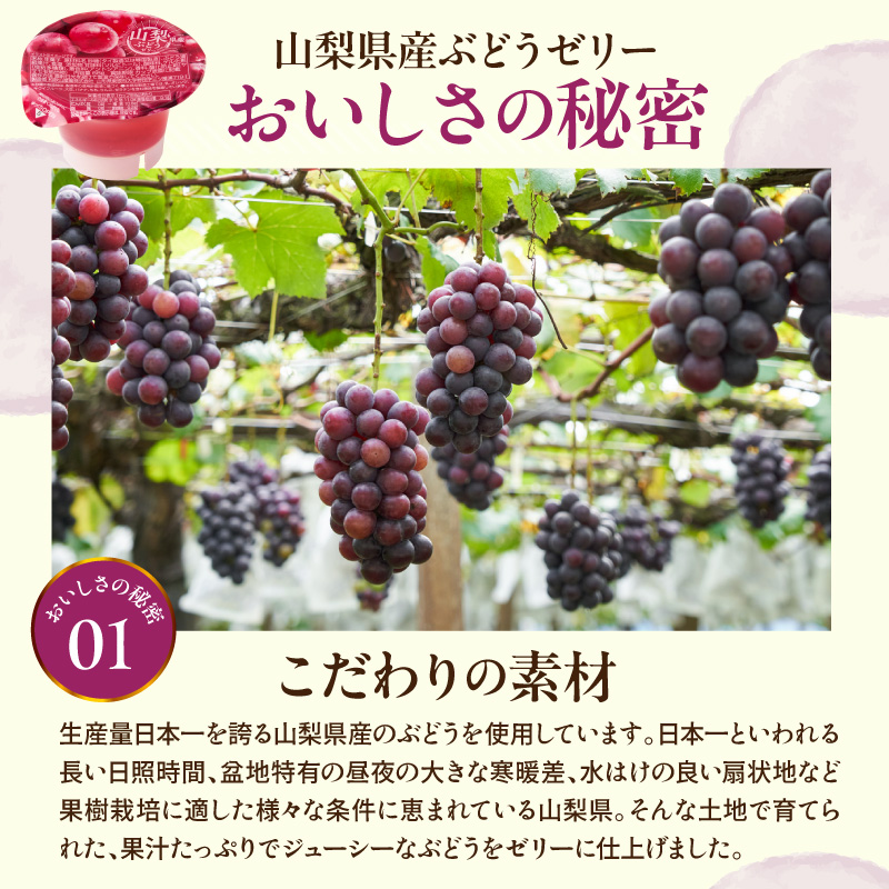 ぶどうゼリー 1袋4個入×12袋 和歌山産業提供 山形県 東根市 hi070-014
